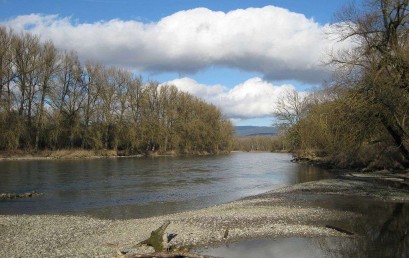 Donau – Aktuelle Trends und Entwicklungen aus Gewässerökologischer Sicht