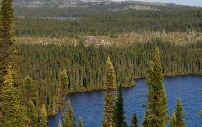 Wasser und Wald: Kanadische Ressourcen – Globale Konfliktfelder