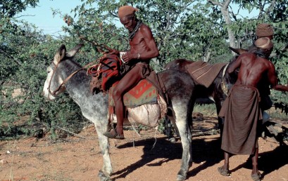 Der Kampf der Himba-Nomaden gegen Infrastrukturprojekte im Norden Namibiens