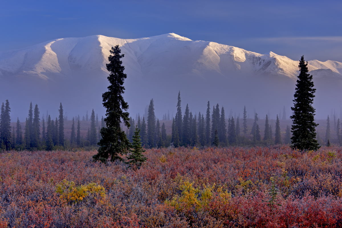 Abenteuer Alaska