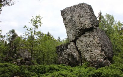 Reise in die Vergangenheit – 900 Millionen Jahre Erdgeschichte im Bayerischen Wald
