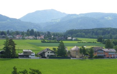 Salzburg die Grüne Stadt – Urbane Ökosysteme in Salzburg als Leistungsträger im Stadtmanagement