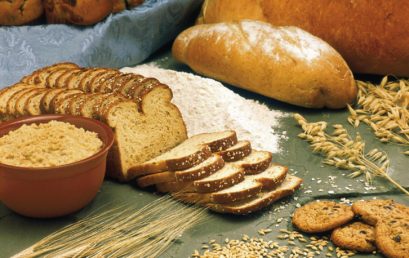 Vom Korn zum Brot – Wie funktioniert Ökolandbau, was passiert in der Mühle und wie entstehen daraus Bio-Backwaren?
