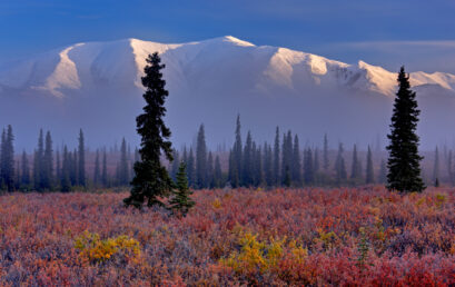 Abenteuer Alaska – Die letzte Wildnis