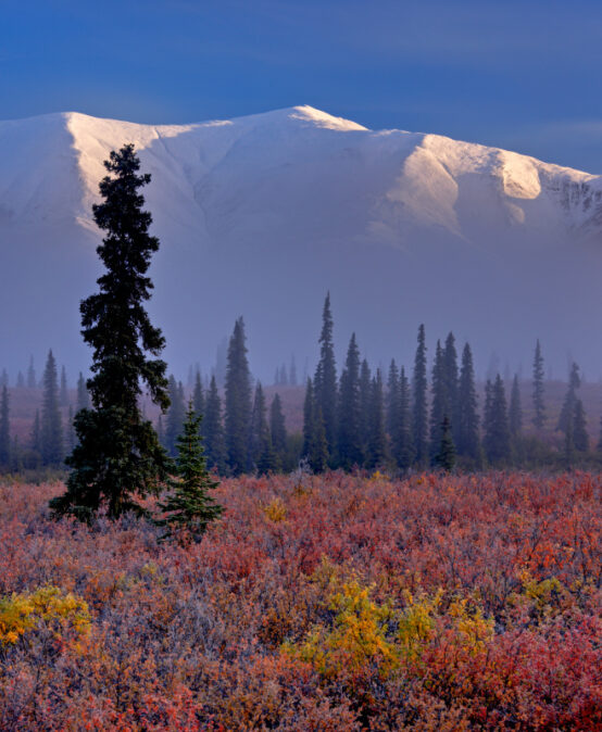 Abenteuer Alaska – Die letzte Wildnis