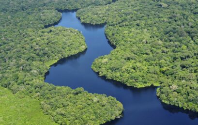 What is at stake in the Amazon? Environment, security, and society in a contested world