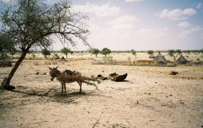 Mobilität, Flucht und Konflikt in der Grenzregion Tschad/Sudan