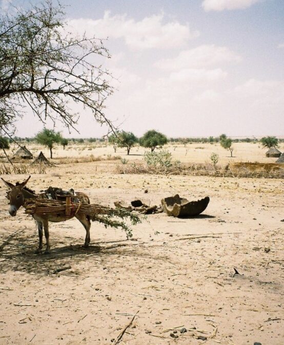 Mobilität, Flucht und Konflikt in der Grenzregion Tschad/Sudan