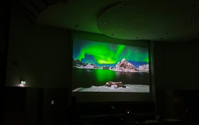 Eisig-authentische Tiermotive in der Arktis