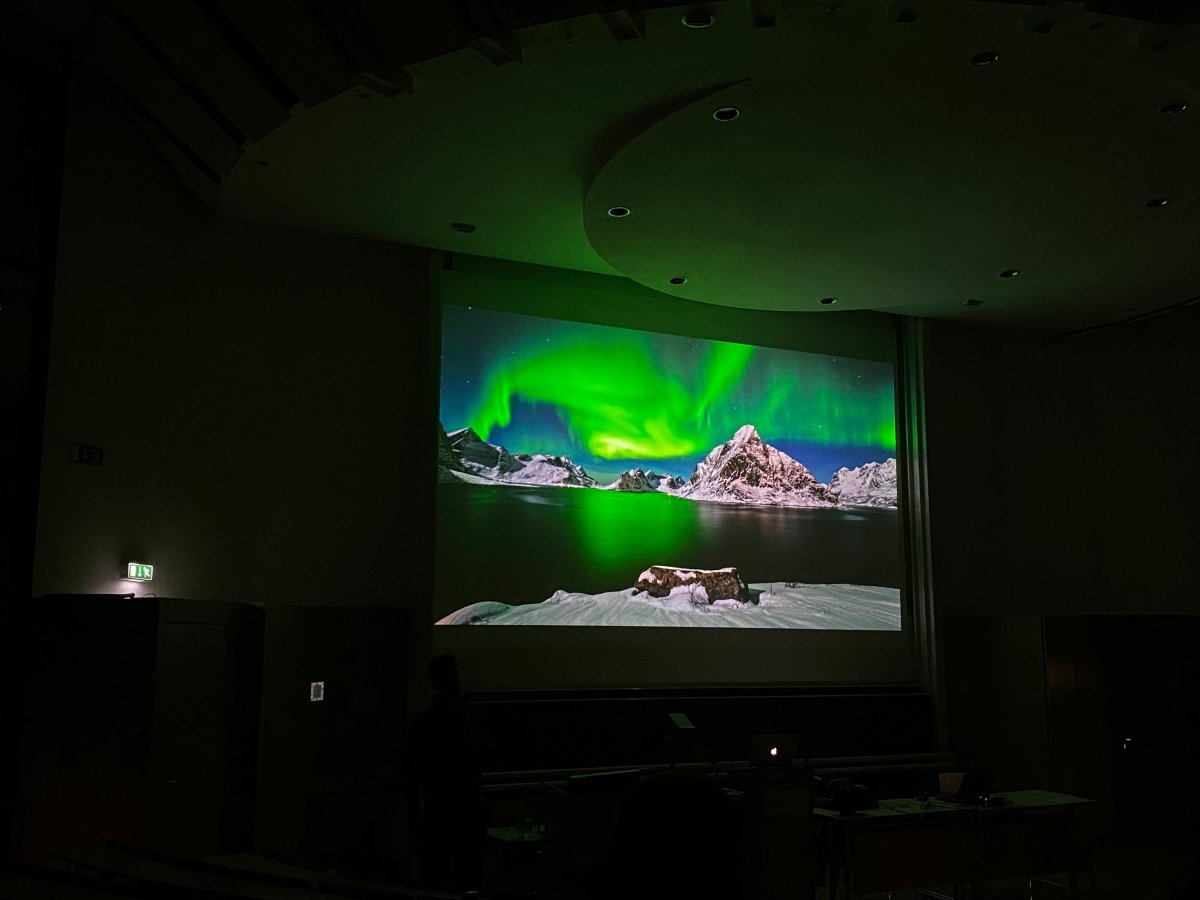 Eisig-authentische Tiermotive in der Arktis Eisig-authentische Tiermotive in der Arktis