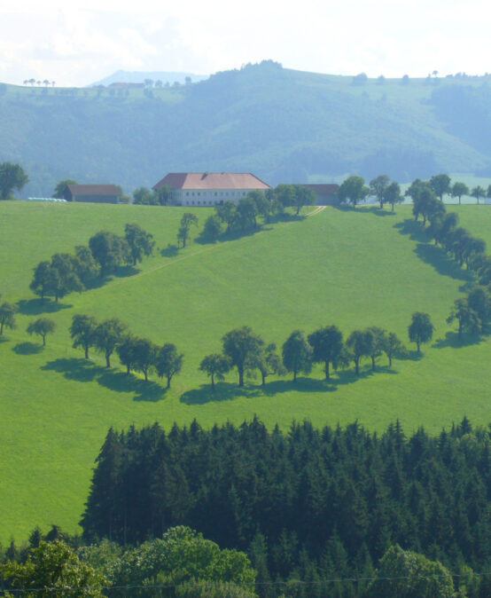 Von Kloster und Kleinstadt zu Hämmern und Gewerken: Versteckte Schätze im Mostviertel